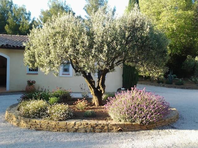 הוילה סנרי-סור-מר Maison Privee Au Calme Dans Mas Provencal מראה חיצוני תמונה