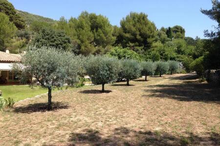 הוילה סנרי-סור-מר Maison Privee Au Calme Dans Mas Provencal מראה חיצוני תמונה